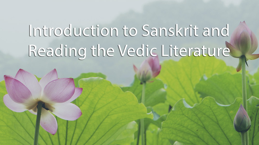 Introduction to Sanskrit: 16-Lesson Course with Professor Keith Wegman