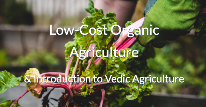 Low-Cost Organic Agriculture